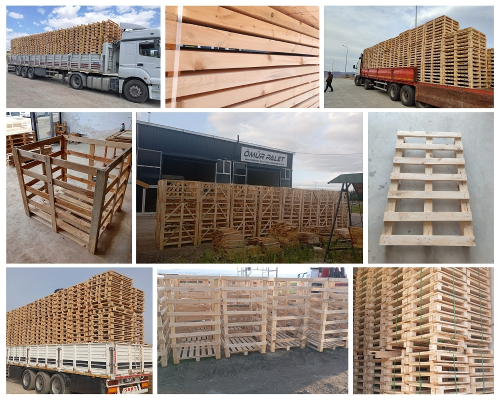 Schiedam Houten Kisten, Europallets Groothandel Kopen